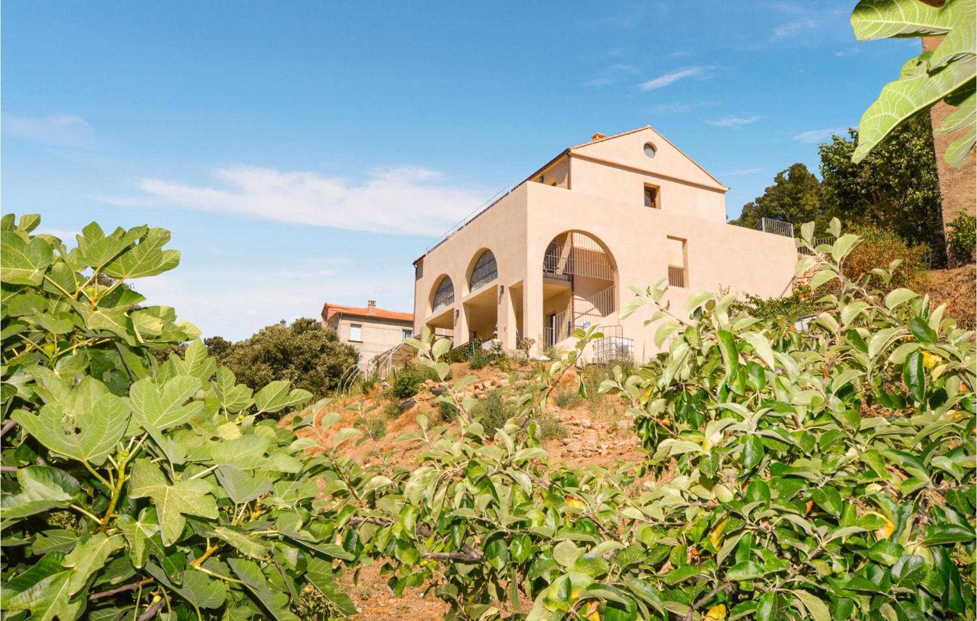 Apartment Stunning In Piana With Wifi Piana (Corsica)